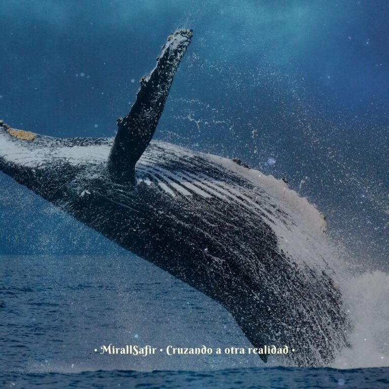 soñar con ballenas